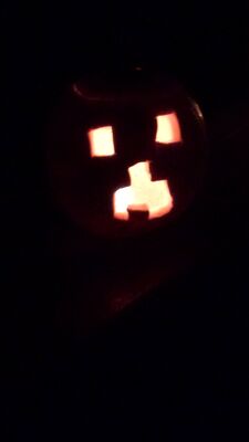 20151031_205643.jpg