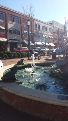 20151115_124823.jpg