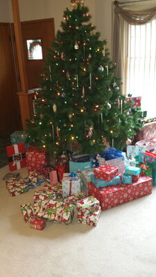 20151225_121834.jpg