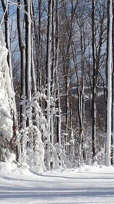 20160123_125018.jpg