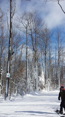 20160123_125042.jpg
