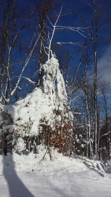 20160123_125132.jpg