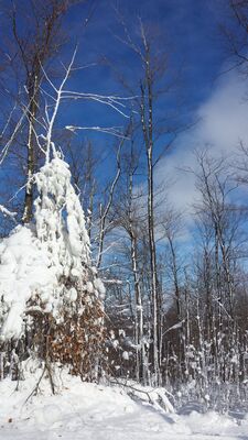 20160123_125139.jpg