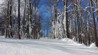 20160123_125311.jpg