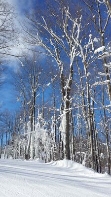 20160123_125329.jpg