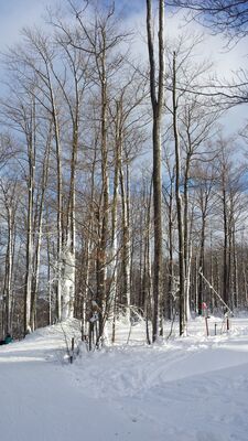 20160123_155218.jpg