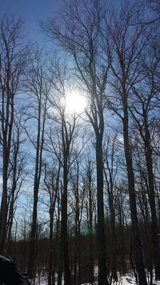 20160130_124112.jpg