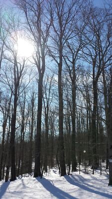 20160130_124120.jpg