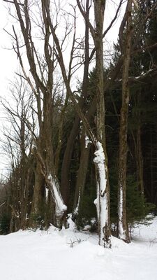 20160130_160255.jpg