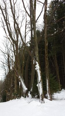 20160130_160308.jpg