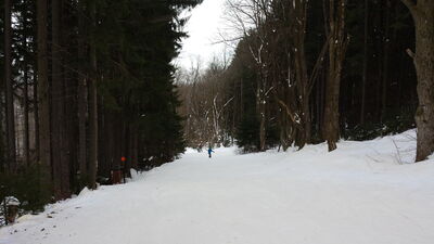 20160130_160325.jpg