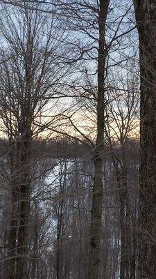 20160130_170815.jpg