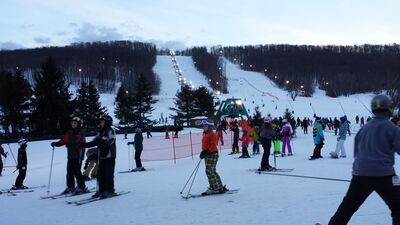 20160130_171802.jpg