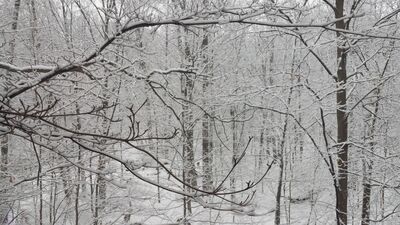 20160216_074852.jpg