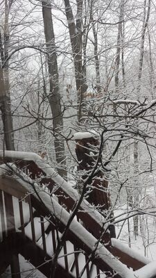 20160216_074907.jpg