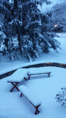 20160217_072411.jpg