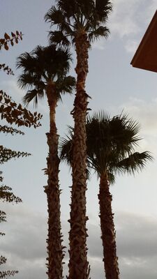 20160222_184839.jpg