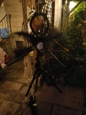 20160903_203837.jpg