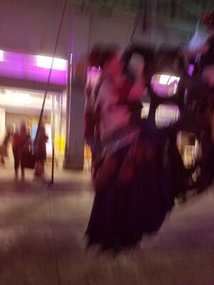20160923_195849.jpg
