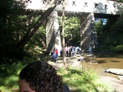 100_6277.JPG