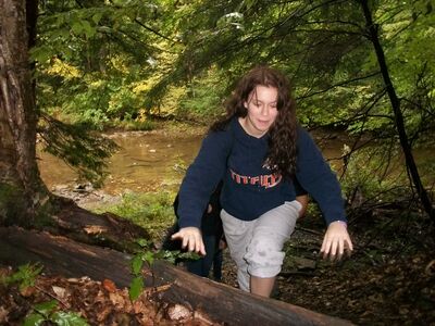 100_6331.JPG
