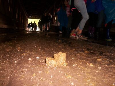 100_6352.JPG