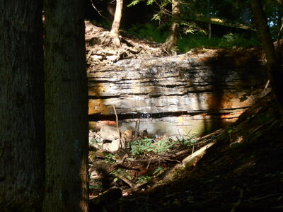 DSCN0430.JPG