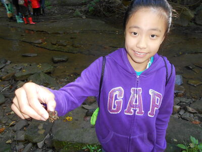 DSCN0458.JPG
