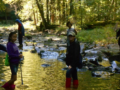 DSCN0465.JPG