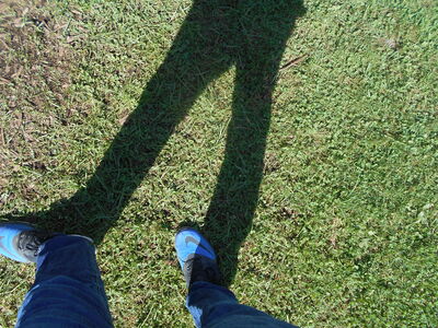 DSCN0473.JPG
