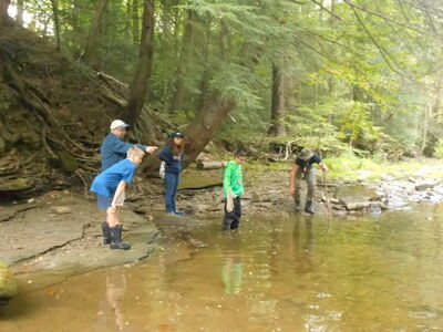 DSCN0511.JPG