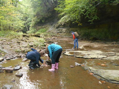 DSCN0516.JPG