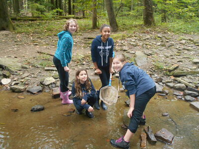 DSCN0517.JPG