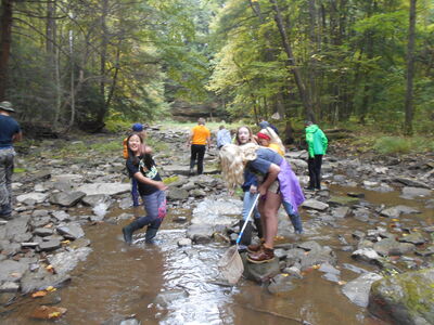 DSCN0518.JPG