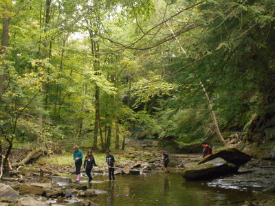 DSCN0521.JPG