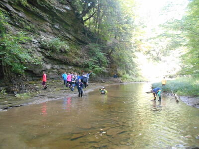 DSCN0546.JPG