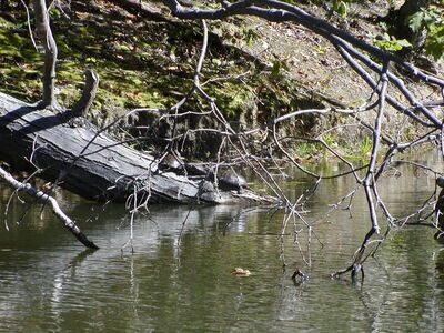 P9270041.JPG