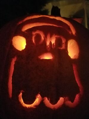 20161031_193025.jpg