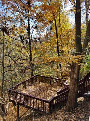 20161105_130217.jpg