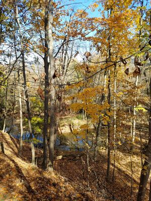 20161105_130246.jpg
