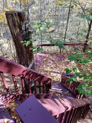 20161105_132633.jpg