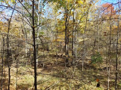 20161105_132852.jpg