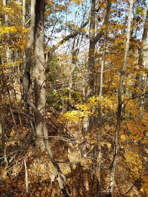 20161105_132959.jpg