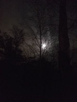 20161114_194524.jpg