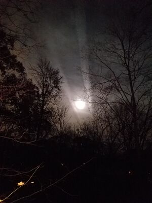 20161114_194633.jpg