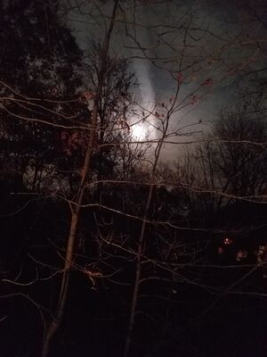 20161114_194704.jpg