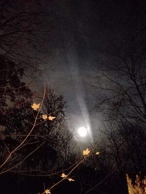 20161114_194734.jpg