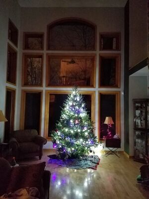 20161213_222645.jpg