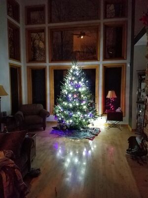 20161213_222757.jpg