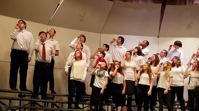 20161212_194829.jpg